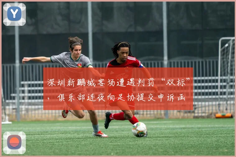 深圳新鹏城客场遭遇判罚“双标”，俱乐部连夜向足协提交申诉函